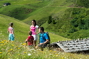 The witches’ benches on Mount Bullaccia (Puflatsch) 