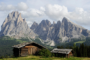 Hiking tour at the foot of Mount Sassolungo and Sasso Piatto